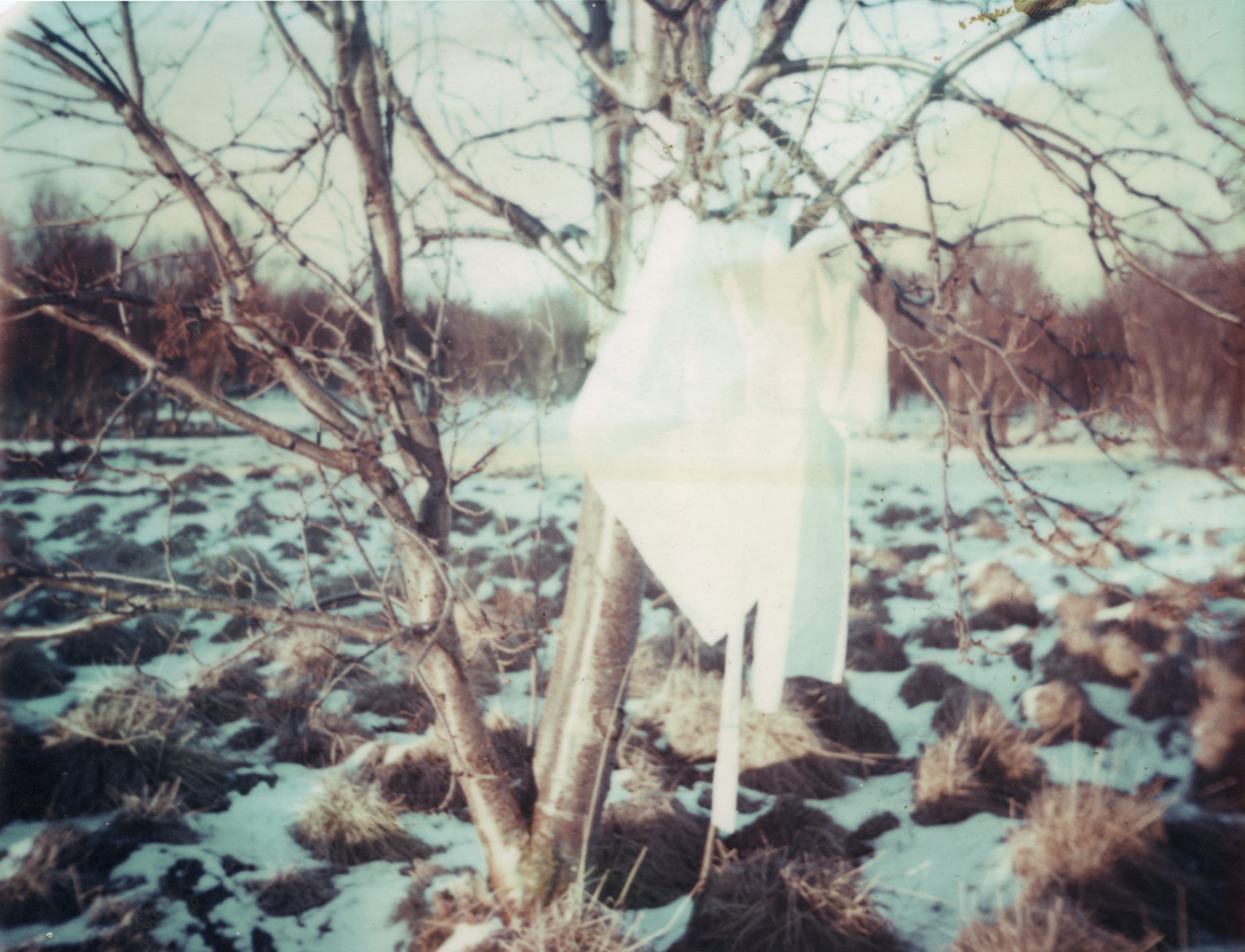 From the series Safety Measures, 2009