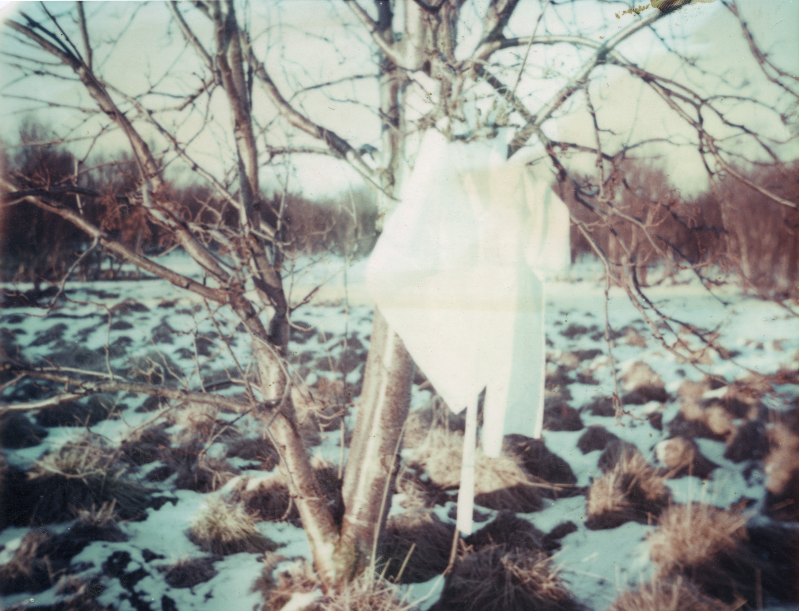 From the series Safety Measures, 2009