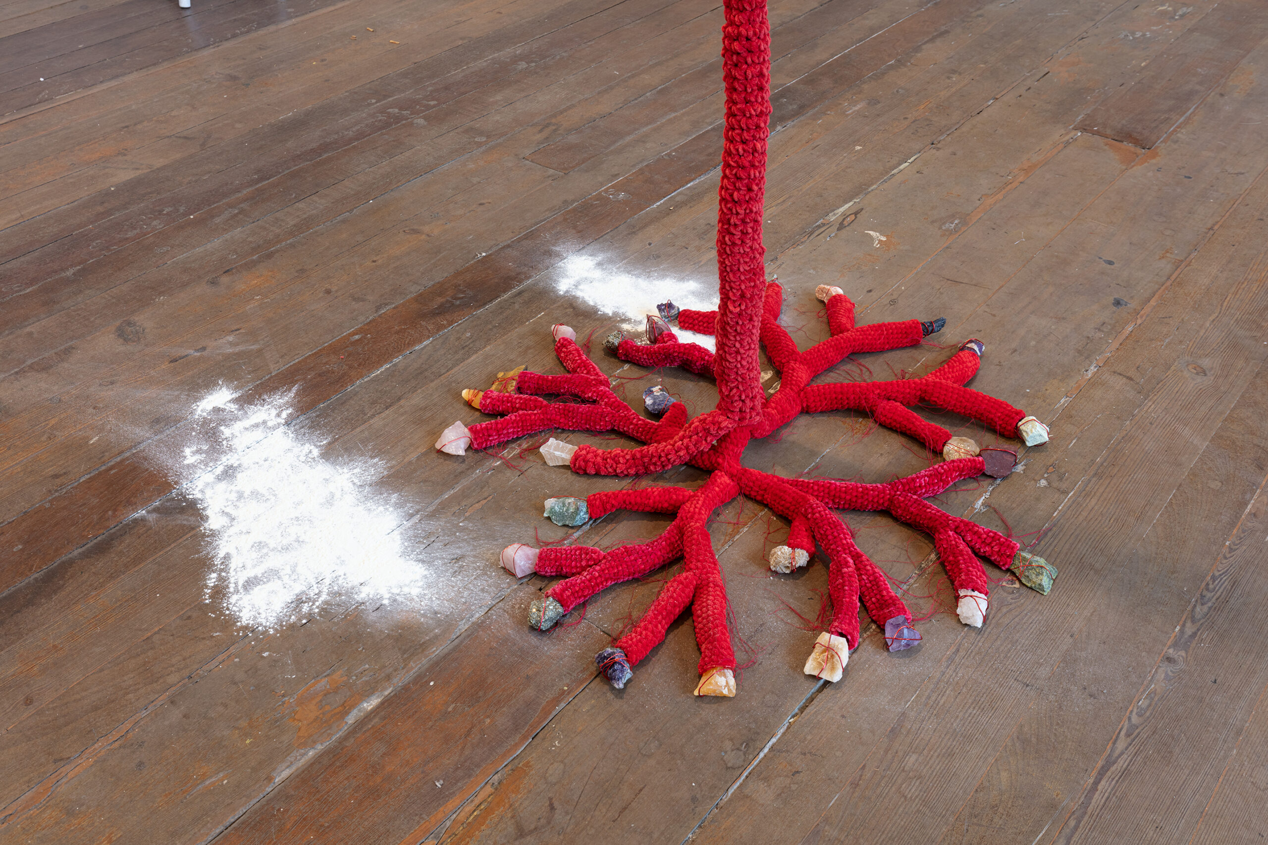 AnaMiguel©PatKilgore2026_J8A7635